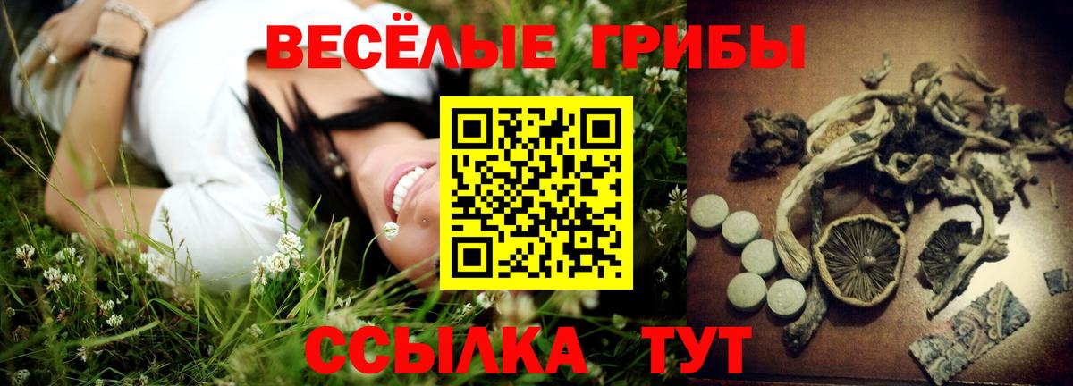 Ржев  Псилоцибиновые грибы ЛСД  Вход с VPN 